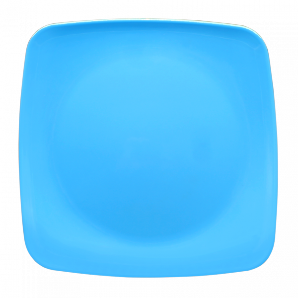 P1064 DS - Imagen 3