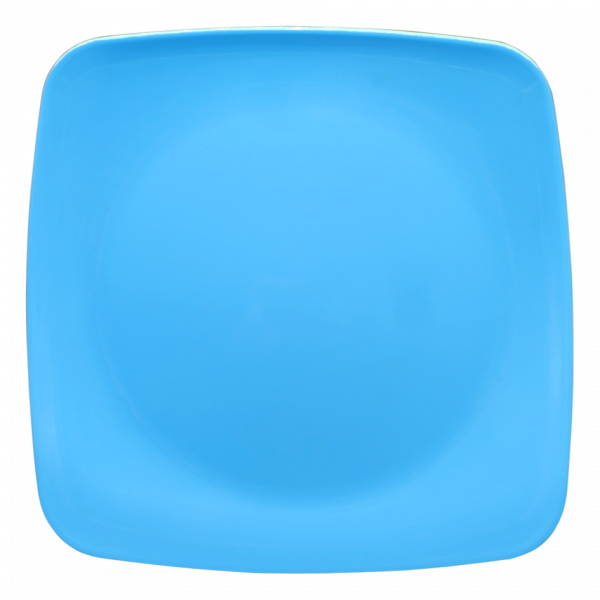 P1065 DS - Imagen 2