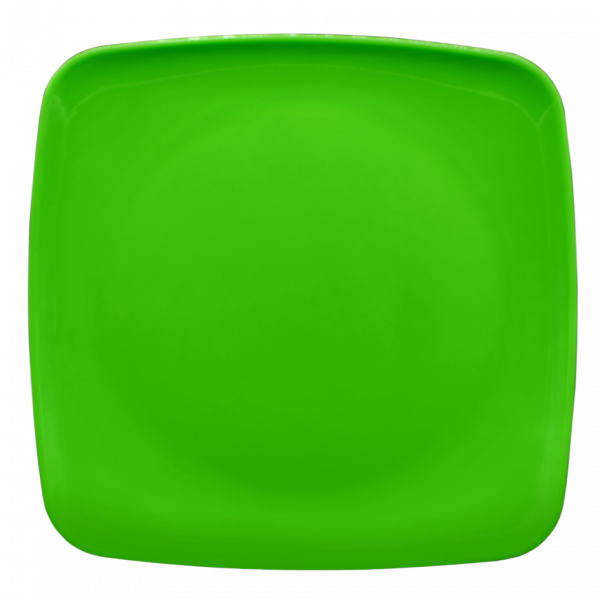 P1065 DS - Imagen 3
